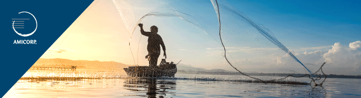 The importance of Net Asset Value