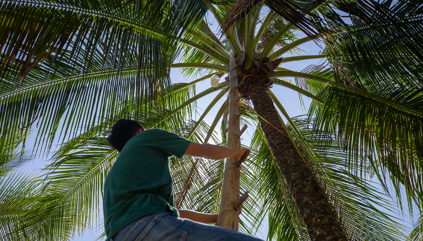 ACF reaches major milestone by planting first tree in the Philippines