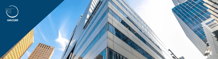 amicorp-netherlands-our-services