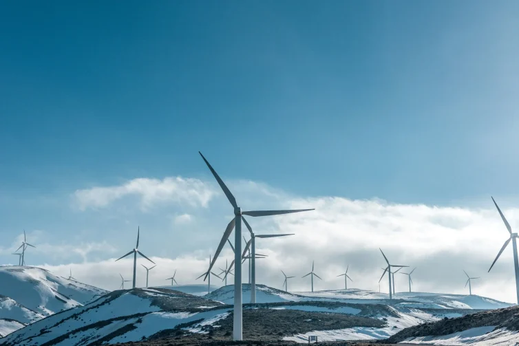 case-studies-chilean-energy-industry
